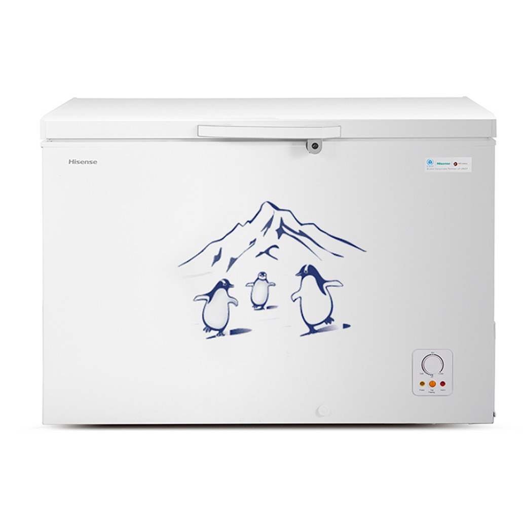 Hisense 310L Chest Freezer | FC-31DD4SA