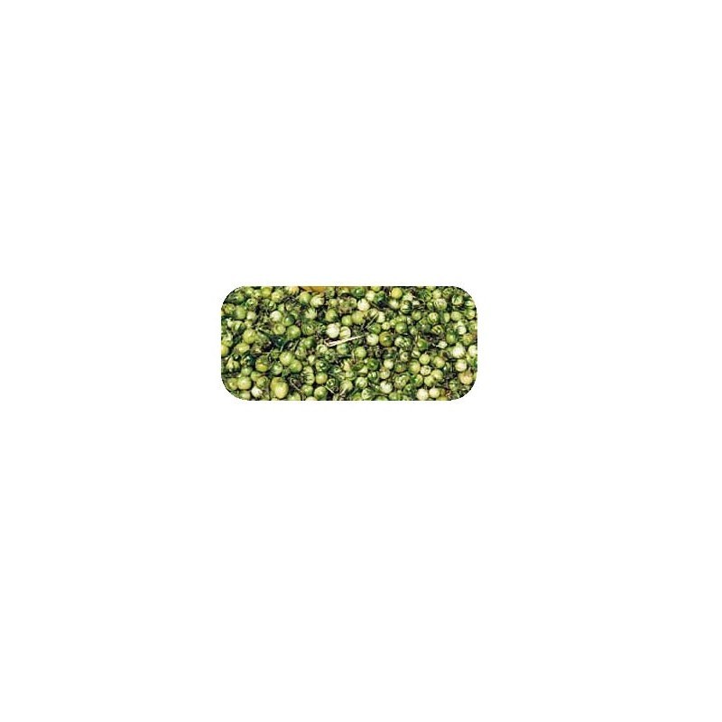 Bitter Berries (Katunkuuma) /KG