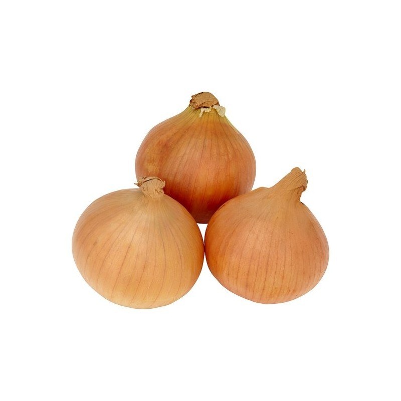 South Africa white Onions 1KG