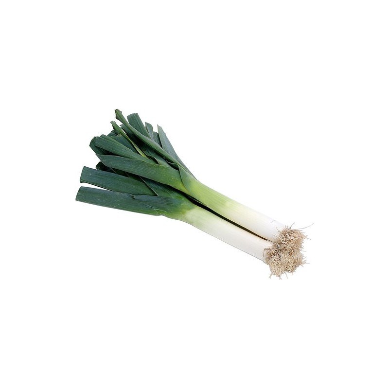 Leek