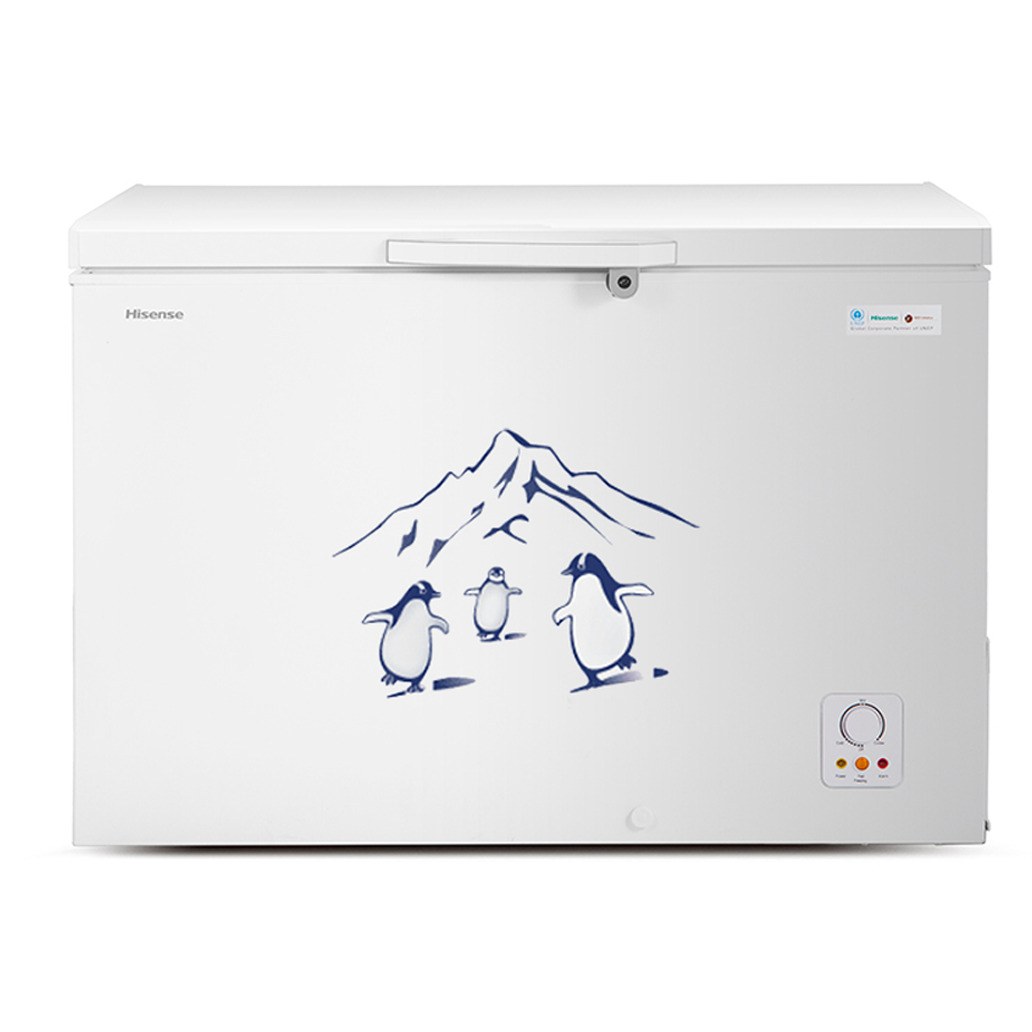 Hisense 400L Chest Freezer | FC-40DT4SB1