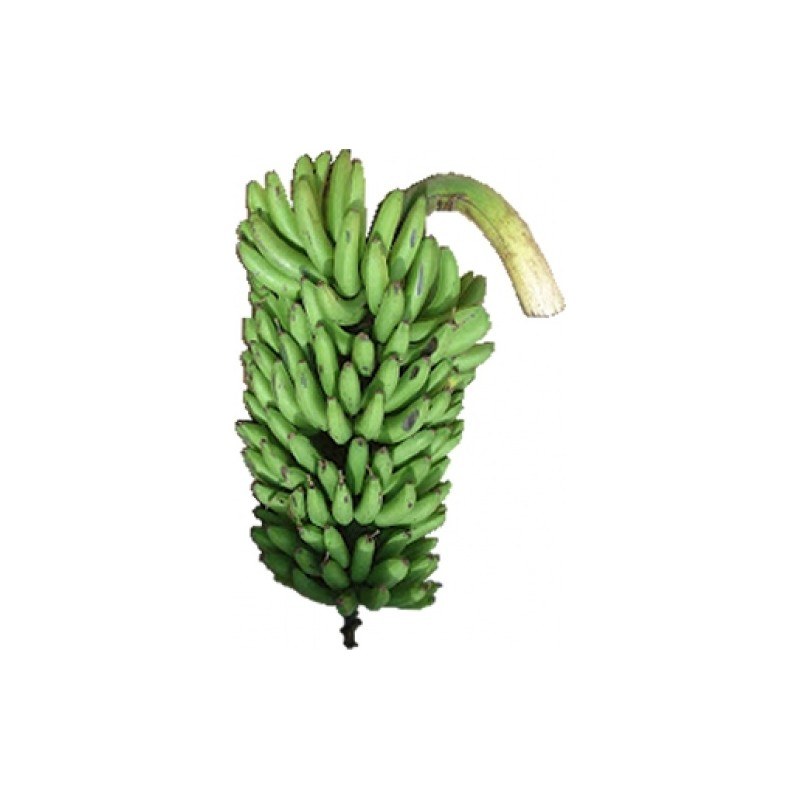 Matooke