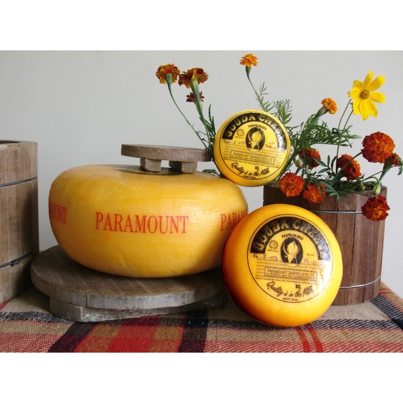 PARAMOUNT GOUDA SM.CH.900G
