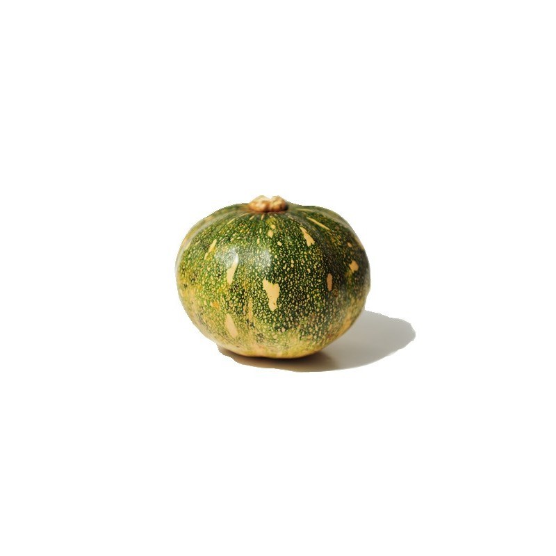 Pumpkin (Nsujjuu)