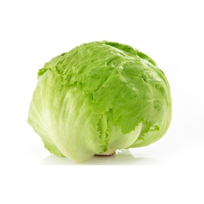 Fresh lettuce