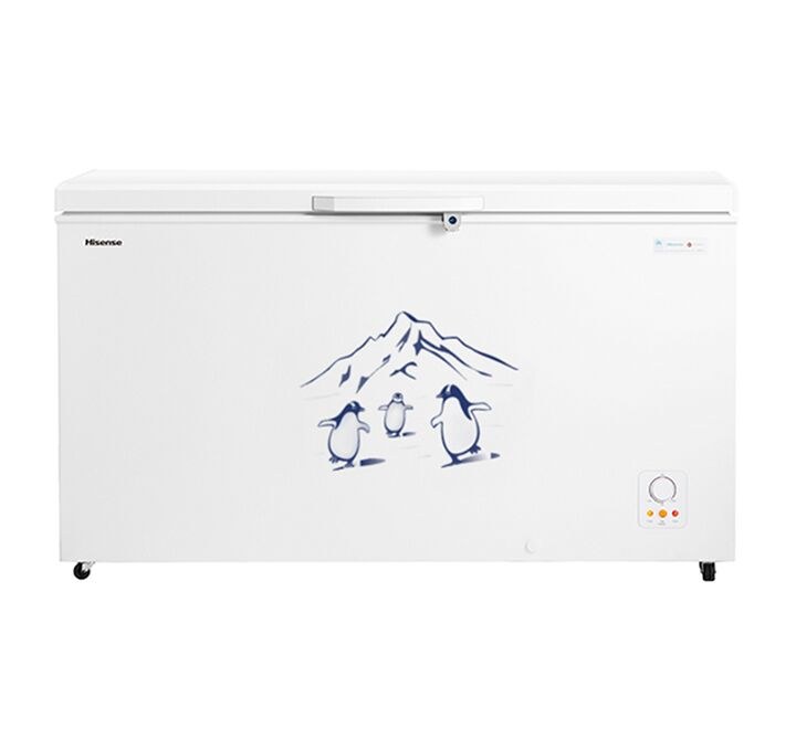 Hisense 550L Chest Freezer | FC-55DD4SA
