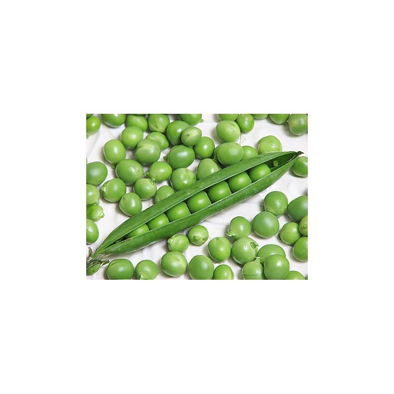 Fresh Peas 500g