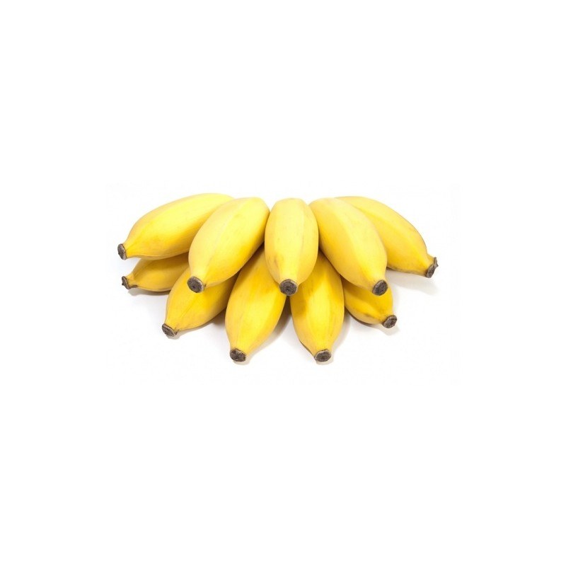 Small Yellow Bananas /Cluster