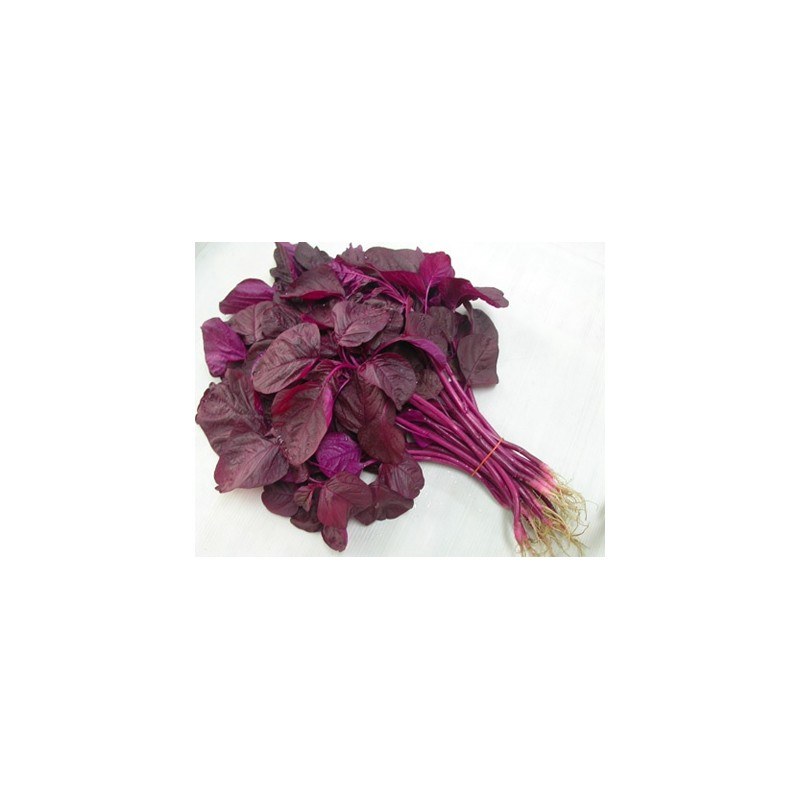 Red Spinach (Ebbuga)