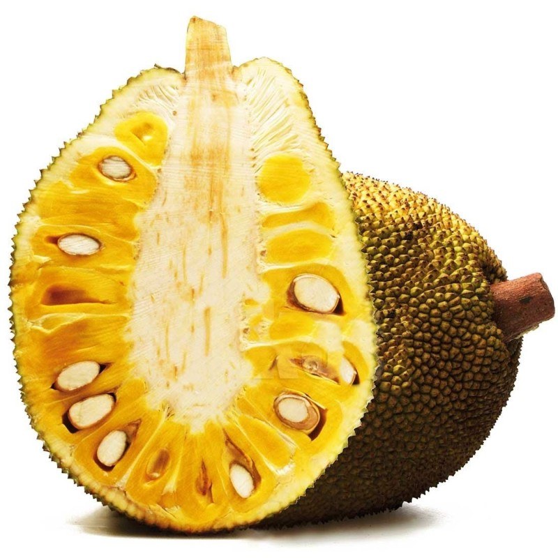 Jack Fruit Fresh (Fenne)