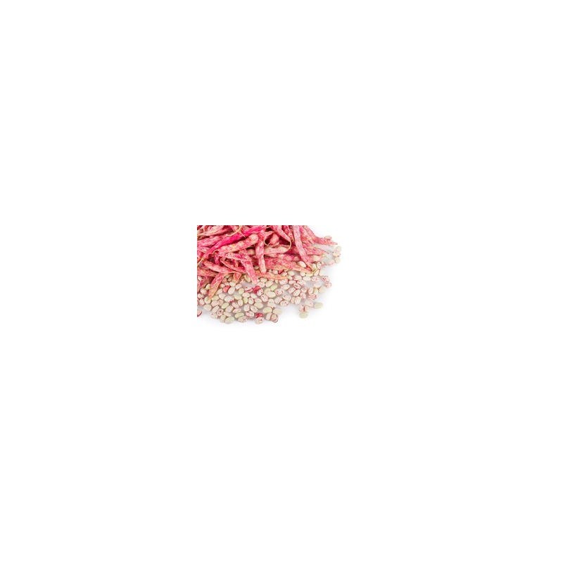 Fresh Beans 500g