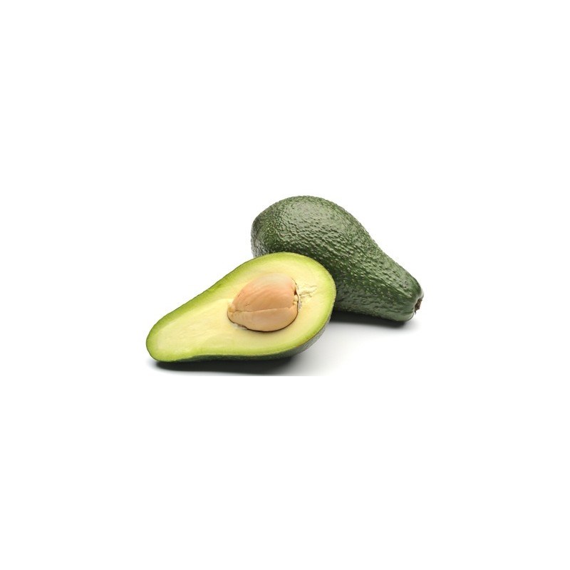 Avocado 1  big sized