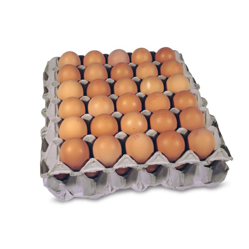 1x30 eggs  White York Full Tray