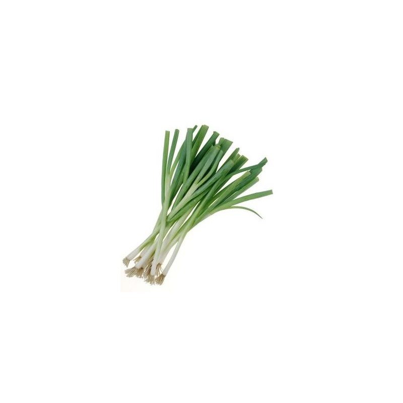 Fresh Bunched Spring Onions 100g
