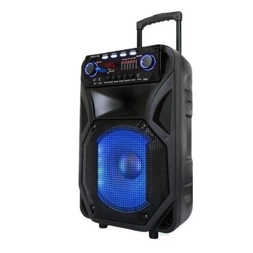 Smart Plus 12″ Smart Plus Speaker – Black