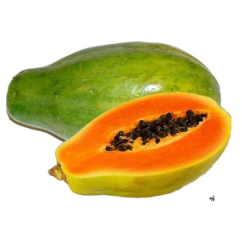 Fresh pawpaw/ papaya